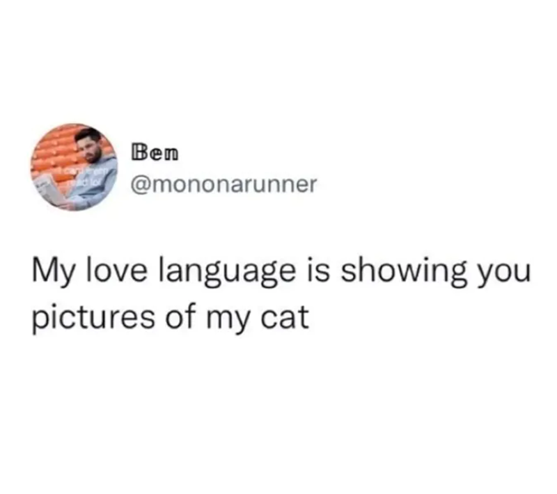 Ben @mononarunner My love language is showing you pictures of my cat