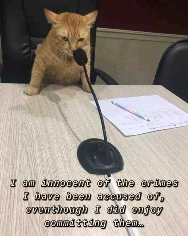 I am innocent of the crimes I have been accused of, eventhough I did enjoy committing them...