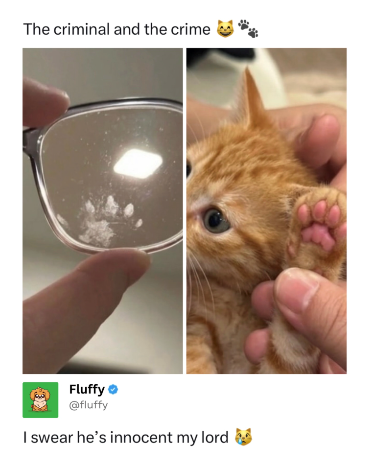 The criminal and the crime Fluffy @fluffy I swear he's innocent my lord
