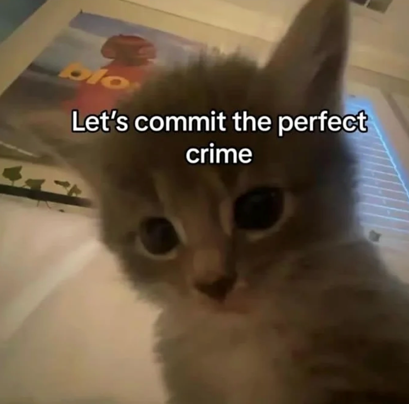 blo Let's commit the perfect crime