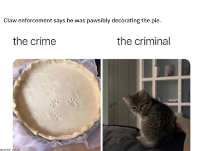 Claw enforcement says he was pawsibly decorating the pie. the crime imaflin.com the criminal