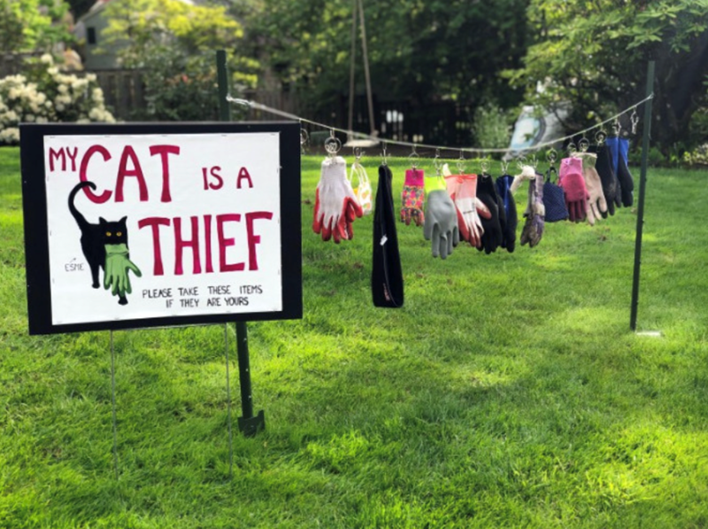 ESME CAT IS A THIEF PLEASE TAKE THESE ITEMS IF THEY ARE YOURS