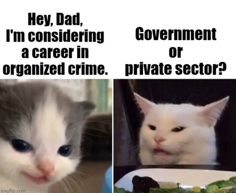 Hey, Dad, I'm considering a career in Government or organized crime. private sector? imgflip.com