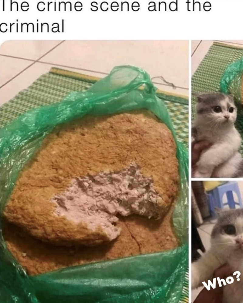 The crime scene and the criminal Who?