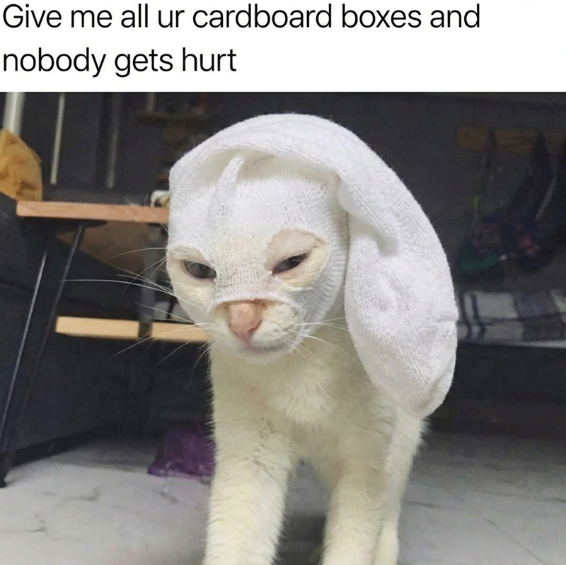 Give me all ur cardboard boxes and nobody gets hurt