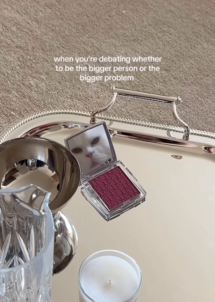 when you're debating whether to be the bigger person or the bigger problem