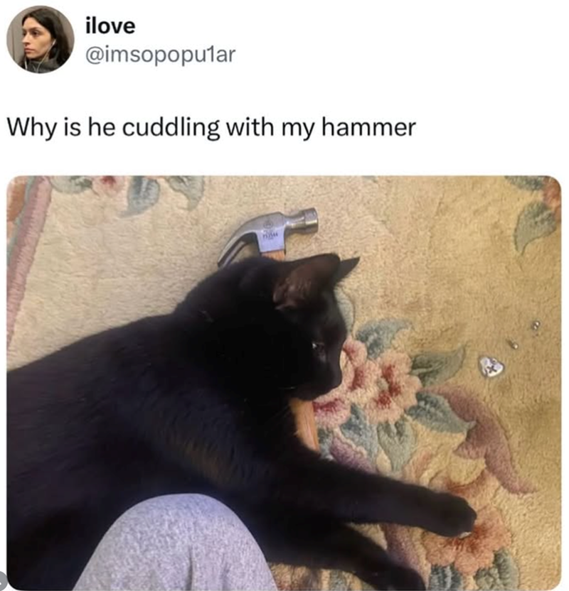 ilove @imsopopular Why is he cuddling with my hammer