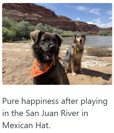 Pure happiness after playing in the San Juan River in Mexican Hat.