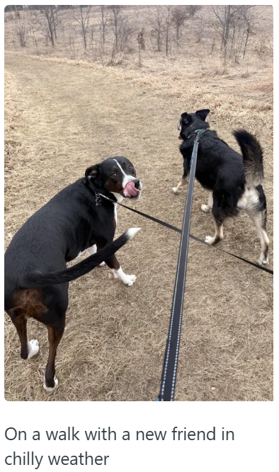 On a walk with a new friend in chilly weather