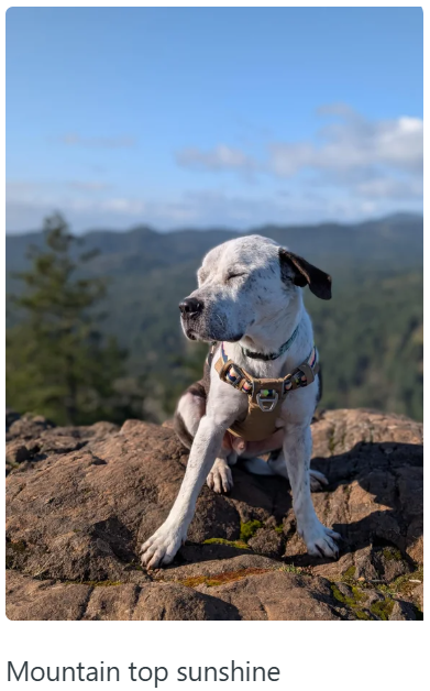 Mountain top sunshine