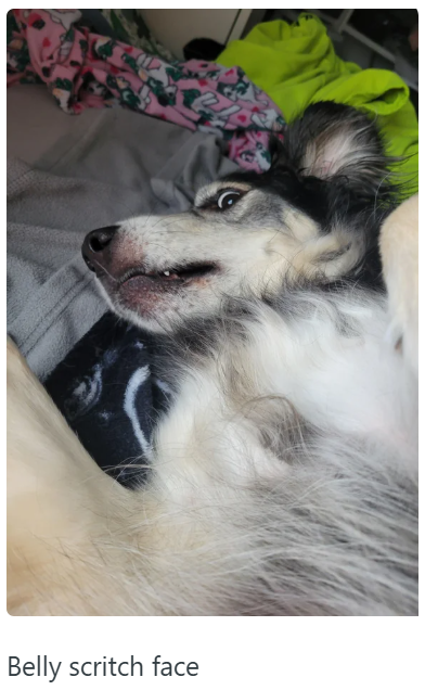 Belly scritch face
