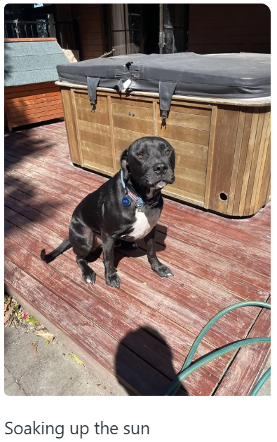 Soaking up the sun