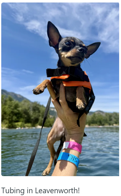 DIS Tubing in Leavenworth!
