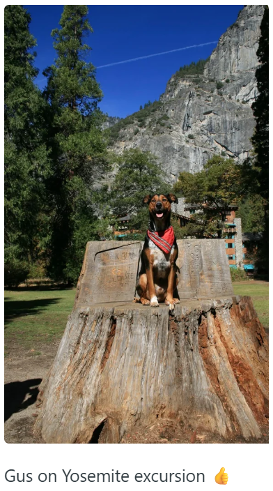 ZE Gus on Yosemite excursion