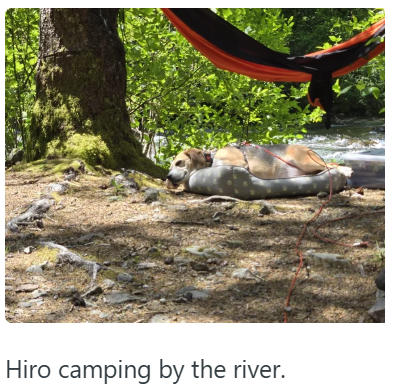 Hiro camping by the river.