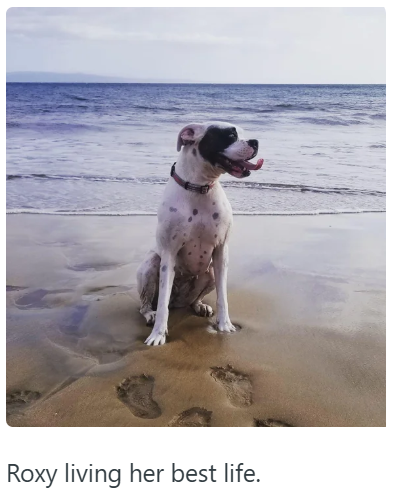 Roxy living her best life.