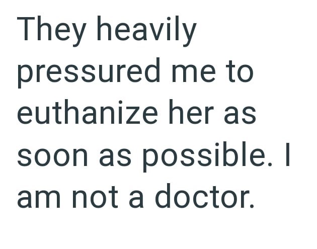 They heavily pressured me to euthanize her as soon as possible. I am not a doctor.