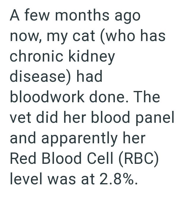 A few months ago now, my cat (who has chronic kidney disease) had bloodwork done. The vet did her blood panel and apparently her Red Blood Cell (RBC) level was at 2.8%.