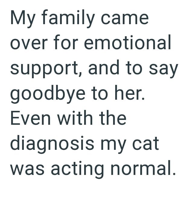 My family came over for emotional support, and to say goodbye to her. Even with the diagnosis my cat was acting normal.