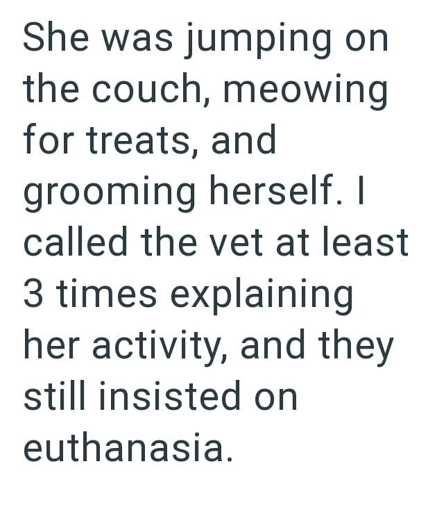 She was jumping on the couch, meowing for treats, and grooming herself. I called the vet at least 3 times explaining her activity, and they still insisted on euthanasia.