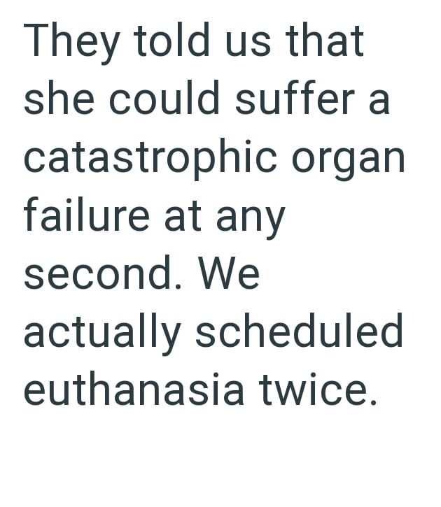 They told us that she could suffer a catastrophic organ failure at any second. We actually scheduled euthanasia twice.