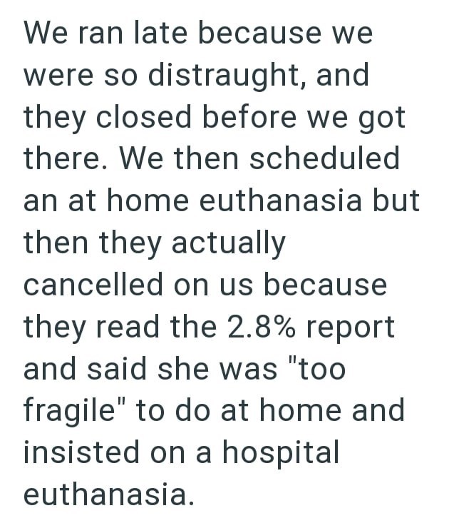 We ran late because we were so distraught, and they closed before we got there. We then scheduled an at home euthanasia but then they actually cancelled on us because they read the 2.8% report and said she was "too fragile" to do at home and insisted on a hospital euthanasia.