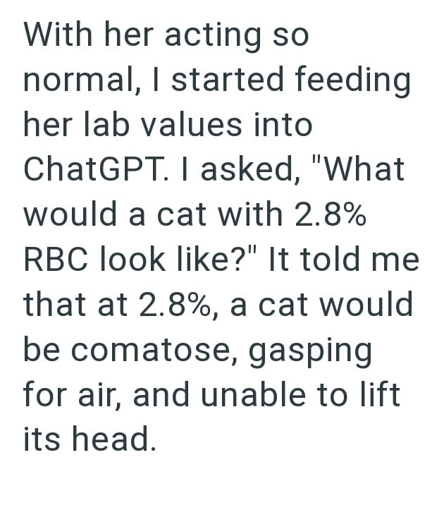 With her acting so normal, I started feeding her lab values into ChatGPT. I asked, "What would a cat with 2.8% RBC look like?" It told me that at 2.8%, a cat would be comatose, gasping for air, and unable to lift its head.
