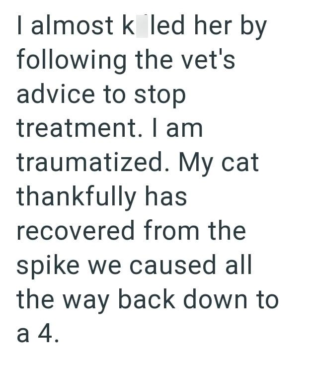 I almost killed her by following the vet's advice to stop treatment. I am traumatized. My cat thankfully has recovered from the spike we caused all the way back down to a 4.