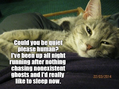 Cheezburger Image 10621327872