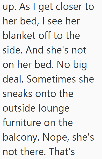 up. As I get closer to her bed, I see her blanket off to the side. And she's not on her bed. No big deal. Sometimes she sneaks onto the outside lounge furniture on the balcony. Nope, she's not there. That's