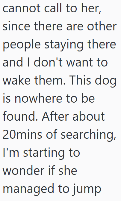cannot call to her, since there are other people staying there and I don't want to wake them. This dog is nowhere to be found. After about 20mins of searching, I'm starting to wonder if she managed to jump