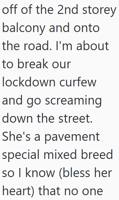 off of the 2nd storey balcony and onto the road. I'm about to break our lockdown curfew and go screaming down the street. She's a pavement special mixed breed so I know (bless her heart) that no one