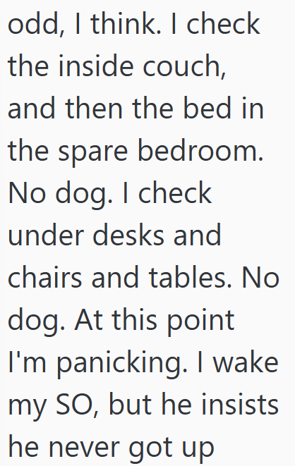odd, I think. I check the inside couch, and then the bed in the spare bedroom. No dog. I check under desks and chairs and tables. No dog. At this point I'm panicking. I wake my SO, but he insists he never got up