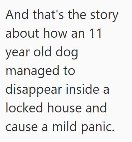 And that's the story about how an 11 year old dog managed to disappear inside a locked house and cause a mild panic.