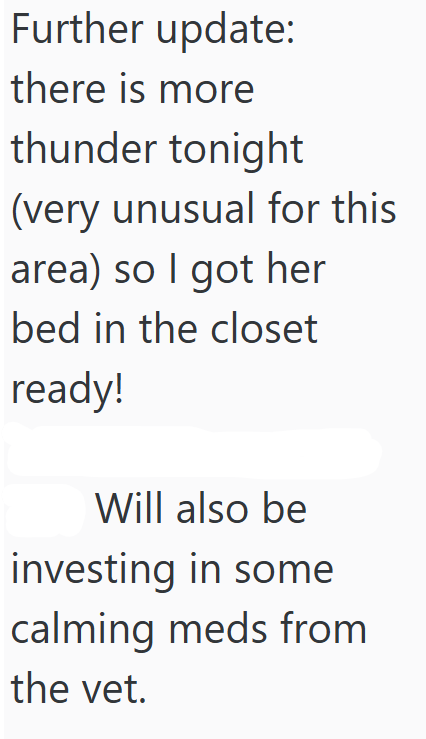 Further update: there is more thunder tonight (very unusual for this area) so I got her bed in the closet ready! Will also be investing in some calming meds from the vet.