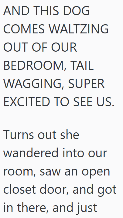 AND THIS DOG COMES WALTZING OUT OF OUR BEDROOM, TAIL WAGGING, SUPER EXCITED TO SEE US. Turns out she wandered into our room, saw an open closet door, and got in there, and just