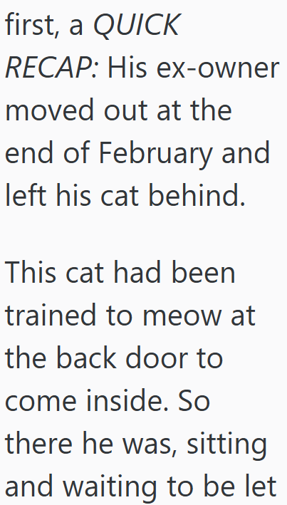 first, a QUICK RECAP: His ex-owner moved out at the end of February and left his cat behind. This cat had been trained to meow at the back door to come inside. So there he was, sitting and waiting to be let