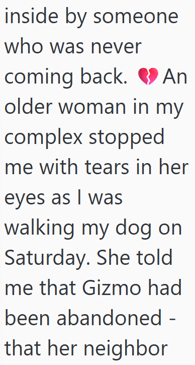 inside by someone who was never coming back. An older woman in my complex stopped me with tears in her eyes as I was walking my dog on Saturday. She told me that Gizmo had been abandoned - that her neighbor