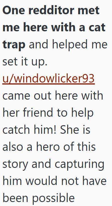 One redditor met me here with a cat trap and helped me set it up. u/windowlicker93 came out here with her friend to help catch him! She is also a hero of this story and capturing him would not have been possible