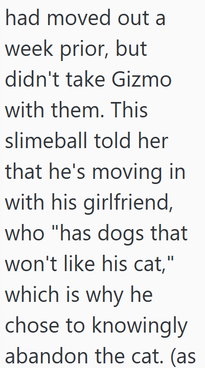 had moved out a week prior, but didn't take Gizmo with them. This slimeball told her that he's moving in with his girlfriend, who "has dogs that won't like his cat," which is why he chose to knowingly abandon the cat. (as