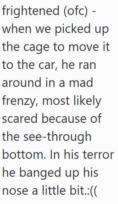 frightened (ofc) - when we picked up the cage to move it to the car, he ran around in a mad frenzy, most likely scared because of the see-through bottom. In his terror he banged up his nose a little bit.:((