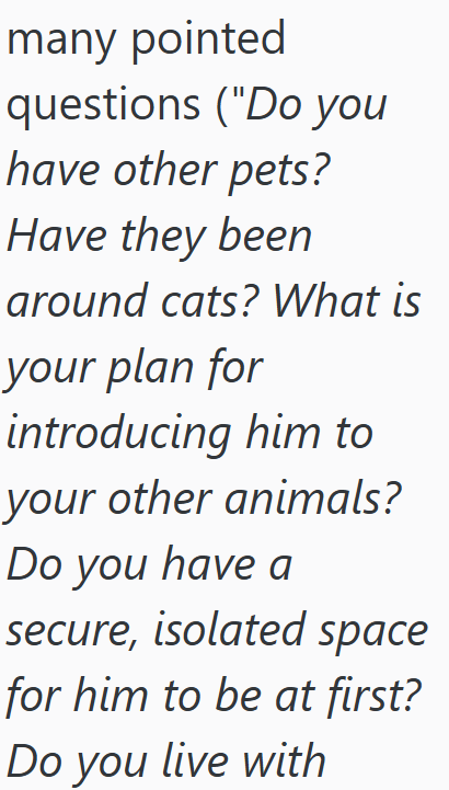 many pointed questions ("Do you have other pets? Have they been around cats? What is your plan for introducing him to your other animals? Do you have a secure, isolated space for him to be at first? Do you live with