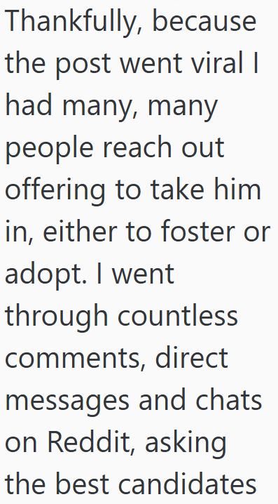 Thankfully, because the post went viral I had many, many people reach out offering to take him in, either to foster or adopt. I went through countless comments, direct messages and chats on Reddit, asking the best candidates