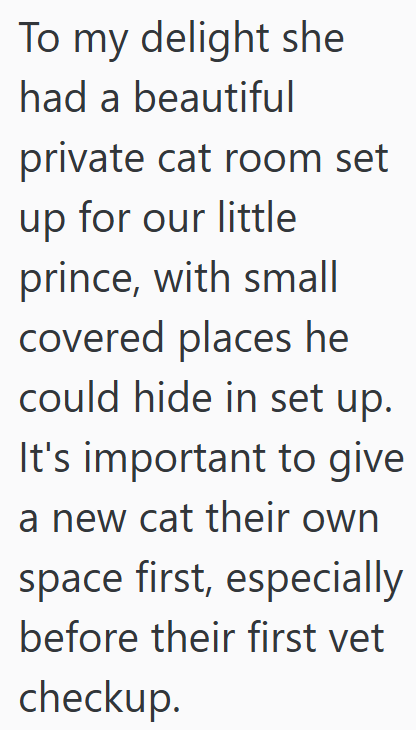 To my delight she had a beautiful private cat room set up for our little prince, with small covered places he could hide in set up. It's important to give a new cat their own space first, especially before their first vet checkup.