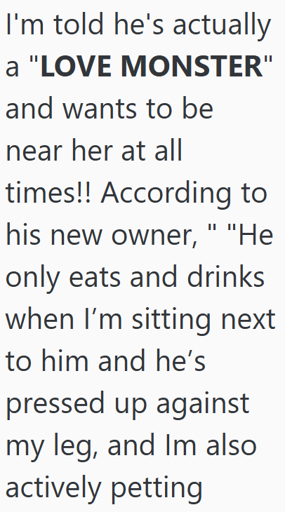 I'm told he's actually a "LOVE MONSTER" and wants to be near her at all times!! According to his new owner, " "He only eats and drinks when I'm sitting next to him and he's pressed up against my leg, and Im also actively petting