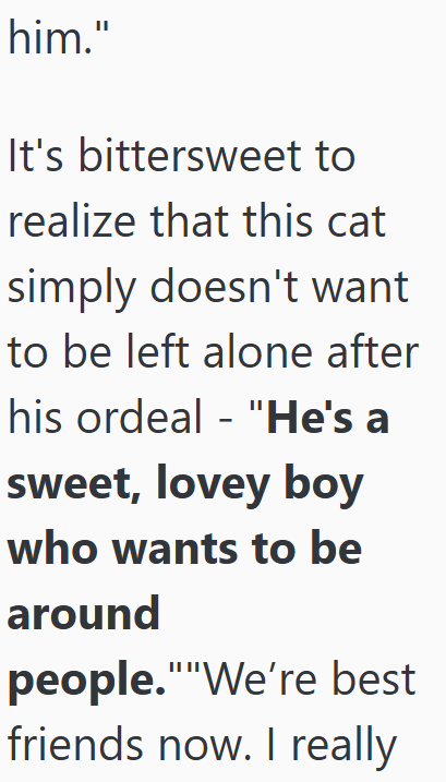 him." It's bittersweet to realize that this cat simply doesn't want to be left alone after his ordeal - "He's a sweet, lovey boy who wants to be around people.""We're best friends now. I really