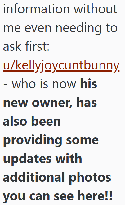 information without me even needing to ask first: u/kellyjoycuntbunny. - who is now his new owner, has also been providing some updates with additional photos you can see here!!