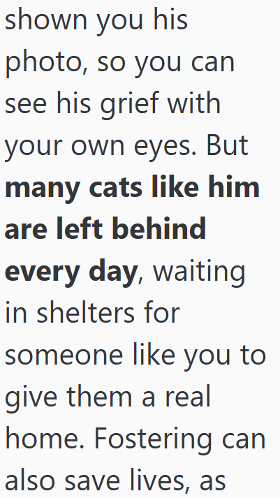 shown you his photo, so you can see his grief with your own eyes. But many cats like him are left behind every day, waiting in shelters for someone like you to give them a real home. Fostering can also save lives, as