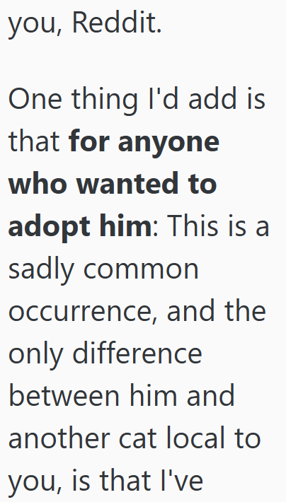 you, Reddit. One thing I'd add is that for anyone who wanted to adopt him: This is a sadly common occurrence, and the only difference between him and another cat local to you, is that I've