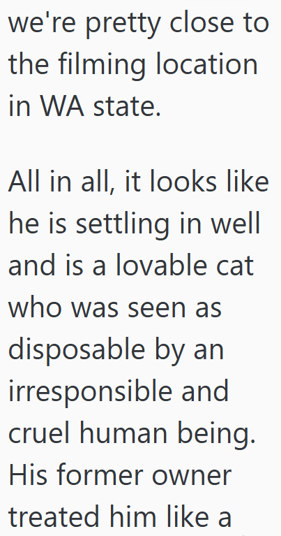 we're pretty close to the filming location in WA state. All in all, it looks like he is settling in well and is a lovable cat who was seen as disposable by an irresponsible and cruel human being. His former owner treated him like a